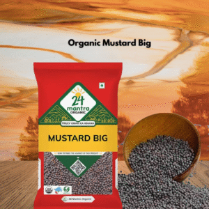 24 Mantra Organic Mustard Big 100g
