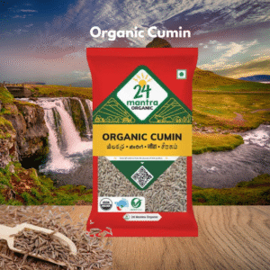 24 Mantra Organic Cumin 100g